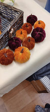 Net of 9 Velvet Pumpkins