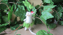 Tropical Mouse