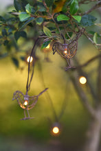 Chain of Robin Lights